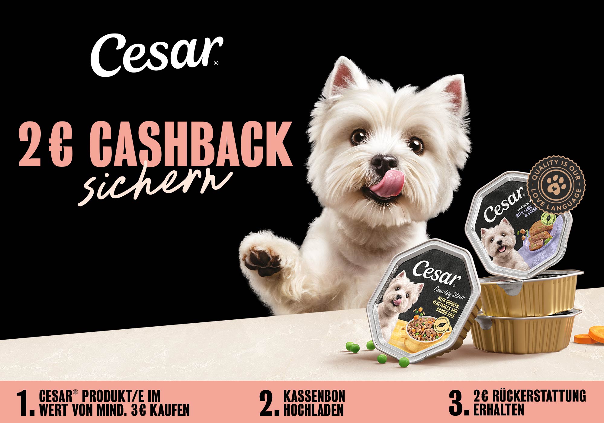 Cesar 2€ Cashback