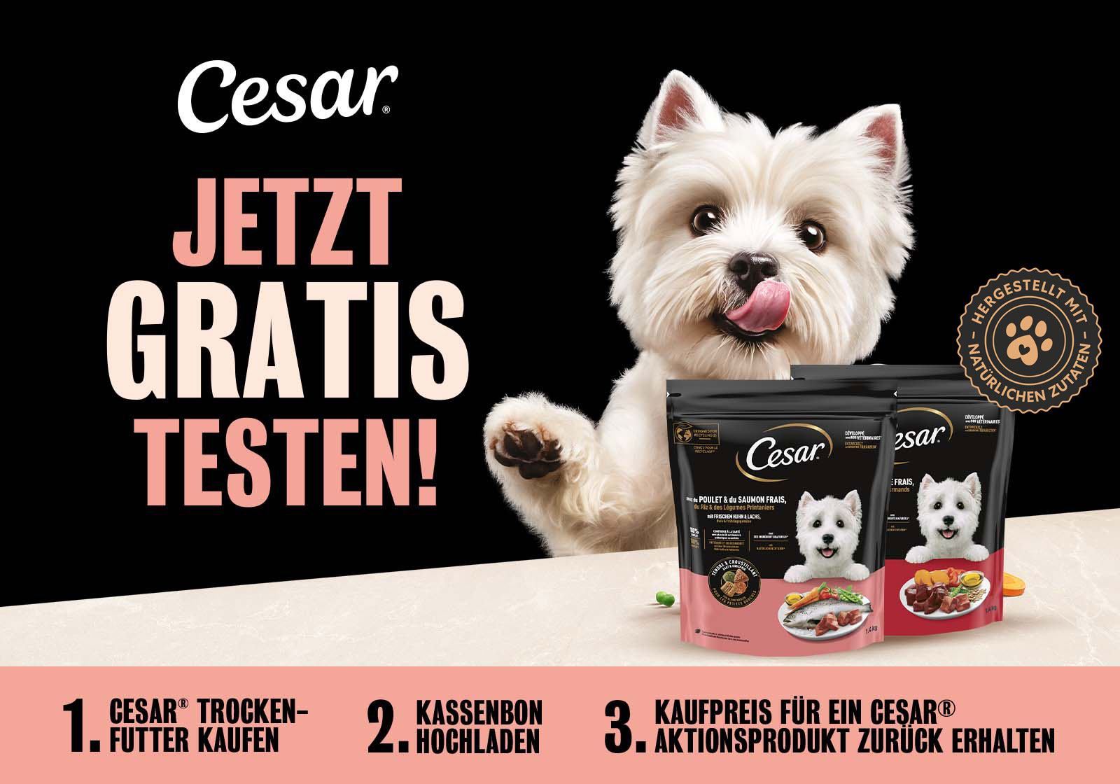 Cesar Cashback 2026