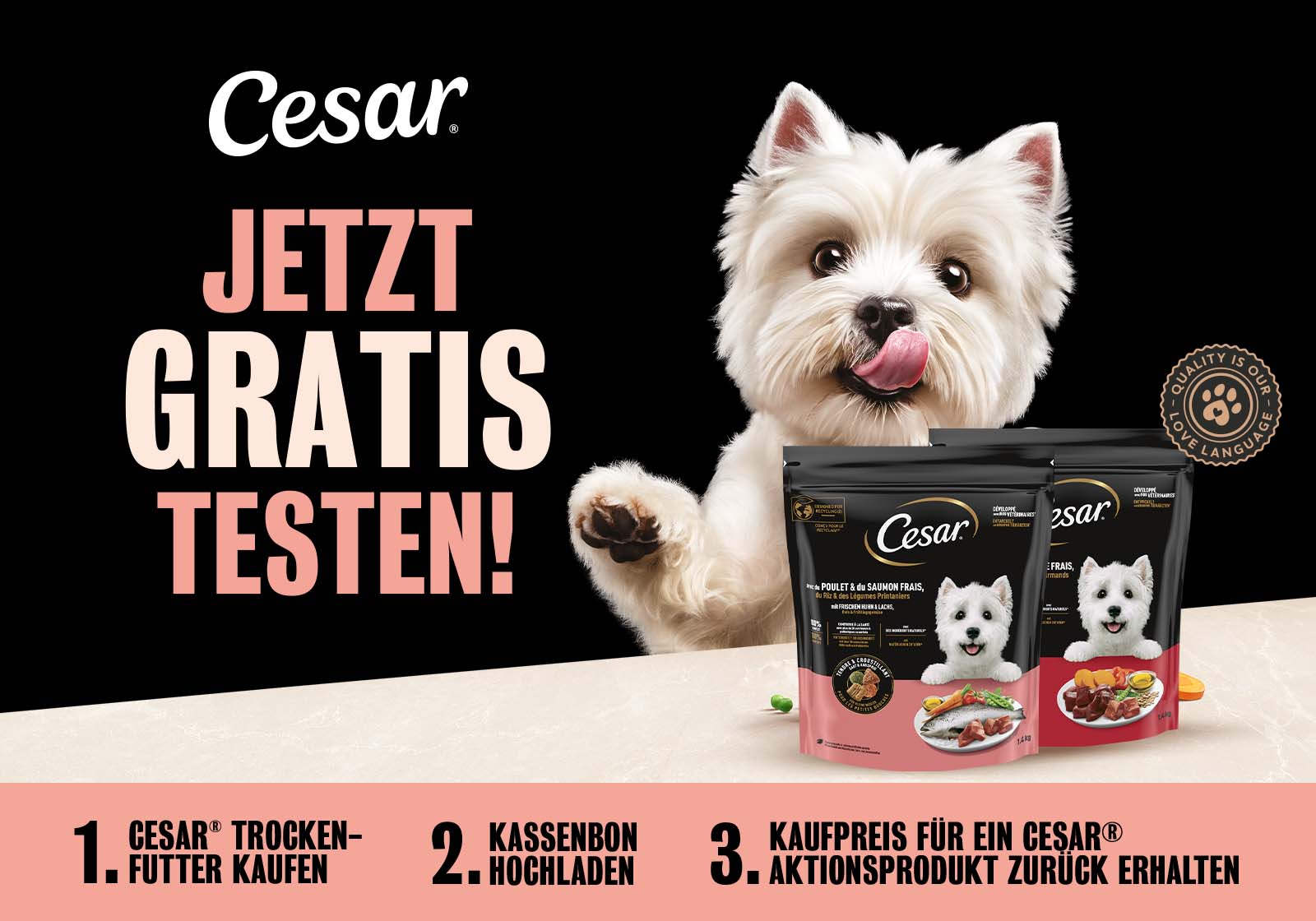 Cesar Cashback 2026